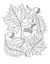 Imagine A Maple Tree Coloring Book - inkpaperfable