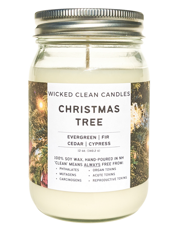12 oz Jar Soy Candles - Wicked Clean Candles