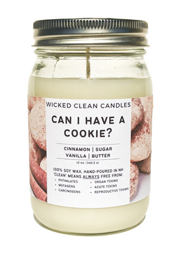 12 oz Jar Soy Candles - Wicked Clean Candles