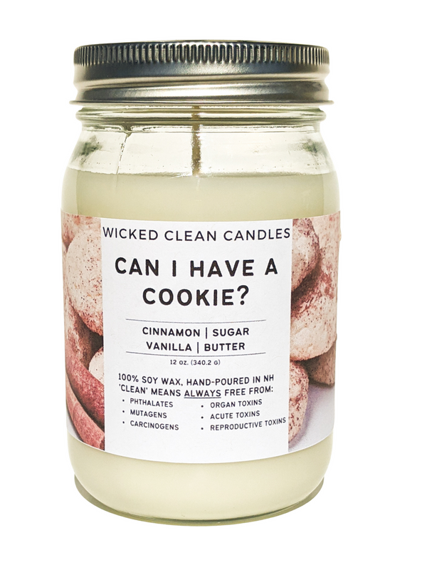 12 oz Jar Soy Candles - Wicked Clean Candles