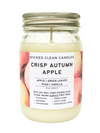 12 oz Jar Soy Candles - Wicked Clean Candles