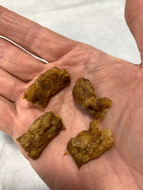 Chicken Training Nibs - Cat & Dog Treats - Pasture Pet