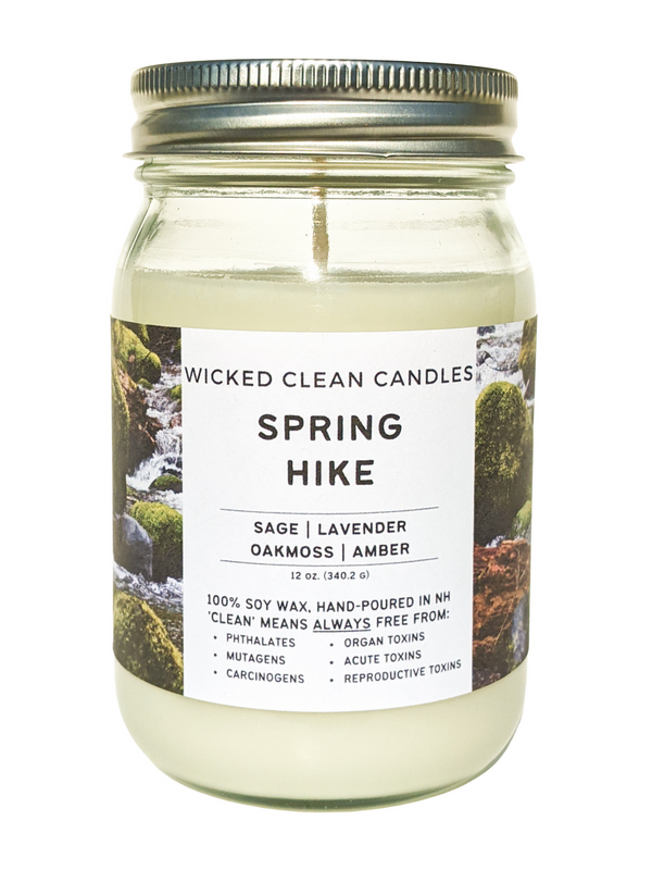 12 oz Jar Soy Candles - Wicked Clean Candles