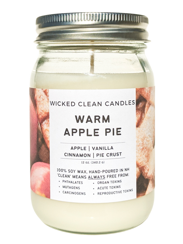 12 oz Jar Soy Candles - Wicked Clean Candles