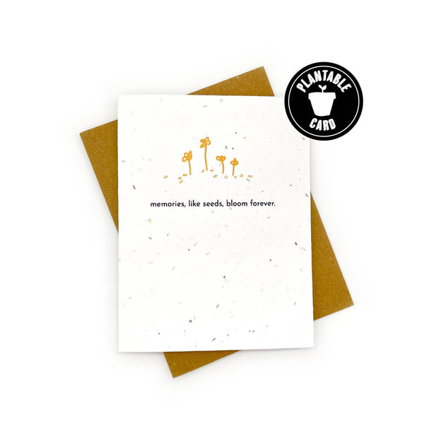 Plantable Greeting Cards - Cato & Company