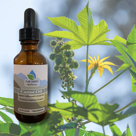 Organic Castor Oil - Pure Energy Apothecary