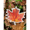 Decals - Nature Stickers - Willough Designs