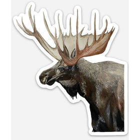 Decals - Nature Stickers - Willough Designs