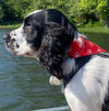 Dog Collar Bandanas - Loon Designs