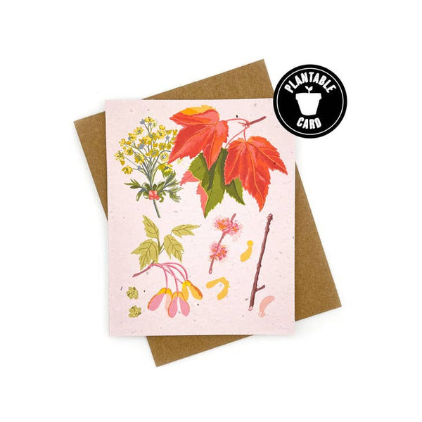 Plantable Greeting Cards - Cato & Company
